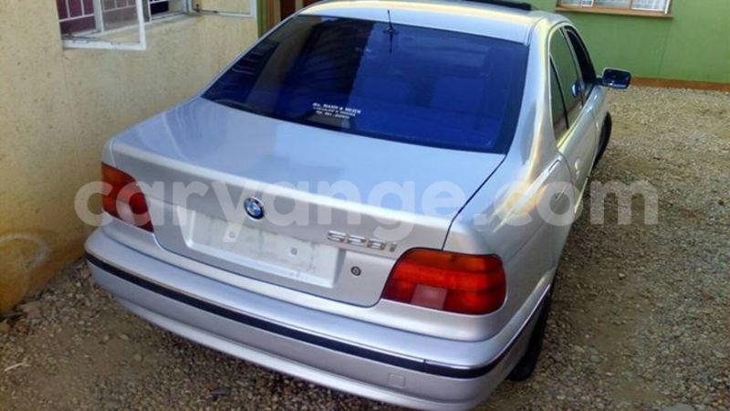 Big with watermark 14324596 10209113455147535 4826326470268354662 o