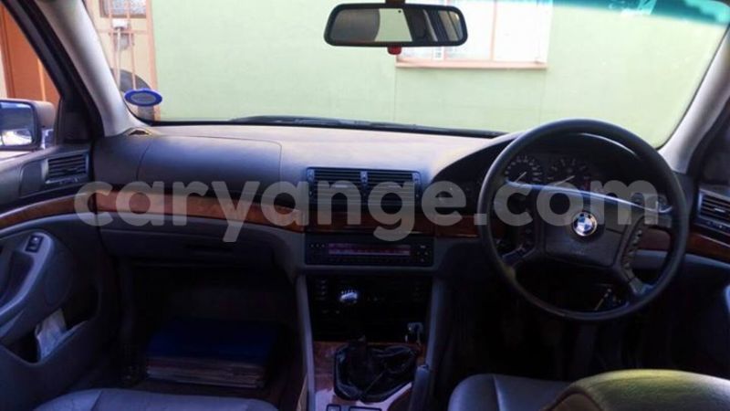 Big with watermark 14344360 195243170887525 1476089703380270021 n