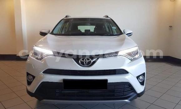 Buy Import Toyota RAV4 White Car in Tsumeb in Oshikoto Buy Import Toyota RAV4 White Car in Tsumeb in Oshikoto