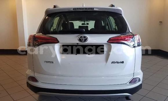 Buy Import Toyota RAV4 White Car in Tsumeb in Oshikoto Buy Import Toyota RAV4 White Car in Tsumeb in Oshikoto