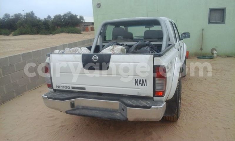 Big with watermark 14695326 1276538865723864 3907257530309395993 n