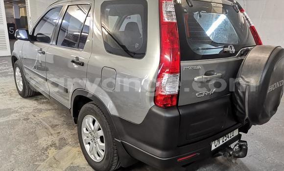 Acheter Occasion Voiture Honda CR–V Autre à Swakopmund, Namibie Acheter Occasion Voiture Honda CR–V Autre à Swakopmund, Namibie