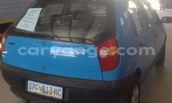 Buy Used Fiat Palio Black Car in Windhoek in Namibia