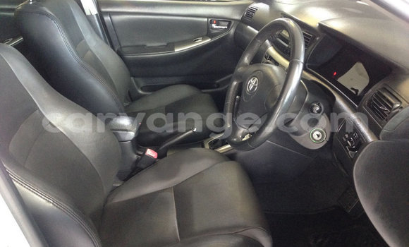 Buy Used Toyota Runx Silver Car in Rundu in Namibia Buy Used Toyota Runx Silver Car in Rundu in Namibia