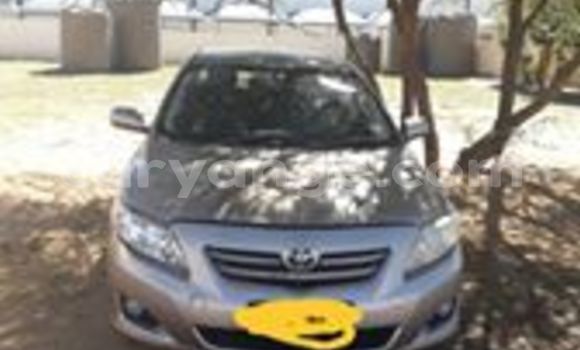 Acheter Occasion Voiture Toyota Corolla Beige à Windhoek, Namibie Acheter Occasion Voiture Toyota Corolla Beige à Windhoek, Namibie