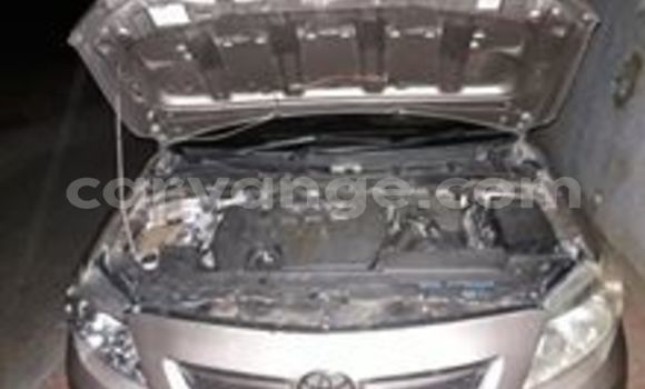 Acheter Occasion Voiture Toyota Corolla Beige à Windhoek, Namibie Acheter Occasion Voiture Toyota Corolla Beige à Windhoek, Namibie