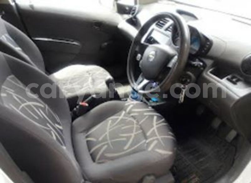 Big with watermark 58378795 1114012912117203 3608980612746051584 n