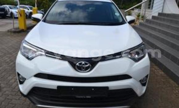 Buy Used Toyota RAV4 White Car in Aranos in Hardap Buy Used Toyota RAV4 White Car in Aranos in Hardap