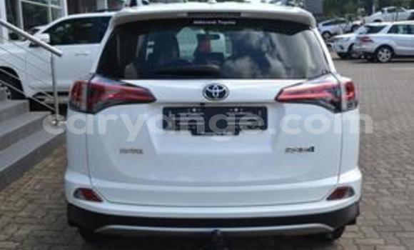 Buy Used Toyota RAV4 White Car in Aranos in Hardap Buy Used Toyota RAV4 White Car in Aranos in Hardap