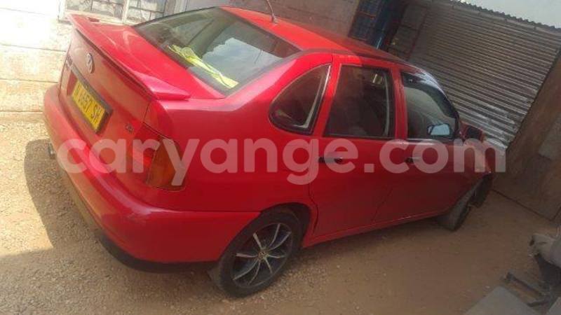 Big with watermark 14572839 1276538899057194 7605807282165903254 n