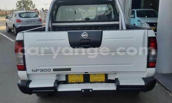 Buy Used Nissan Hardbody Other Car in Leonardville in Omaheke Buy Used Nissan Hardbody Other Car in Leonardville in Omaheke