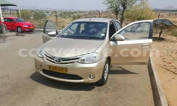 Buy Used Toyota Echo Black Car in Windhoek in Namibia Buy Used Toyota Echo Black Car in Windhoek in Namibia