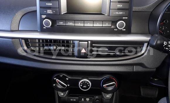 Acheter Occasion Voiture Kia Sportage Autre à Karasburg, Karas Acheter Occasion Voiture Kia Sportage Autre à Karasburg, Karas