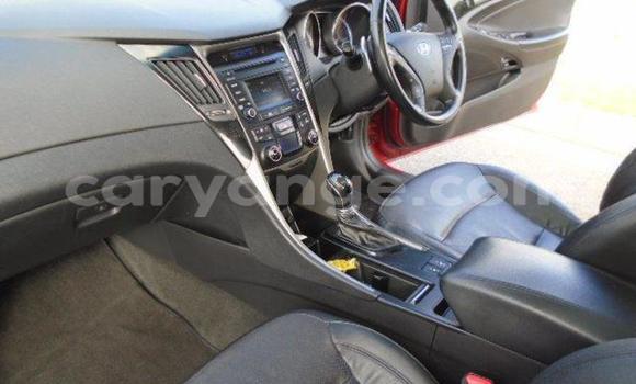 Acheter Occasion Voiture Hyundai Sonata Rouge à Windhoek, Namibie Acheter Occasion Voiture Hyundai Sonata Rouge à Windhoek, Namibie