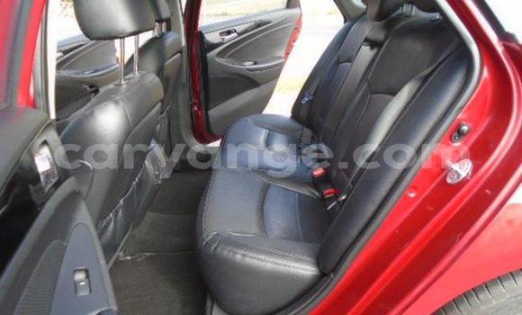 Acheter Occasion Voiture Hyundai Sonata Rouge à Windhoek, Namibie Acheter Occasion Voiture Hyundai Sonata Rouge à Windhoek, Namibie