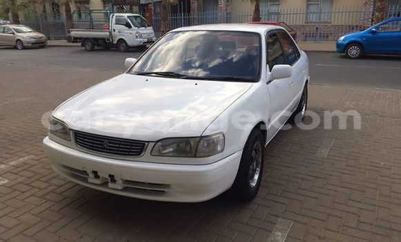 Buy Used Toyota Corolla White Car in Windhoek in Namibia Buy Used Toyota Corolla White Car in Windhoek in Namibia