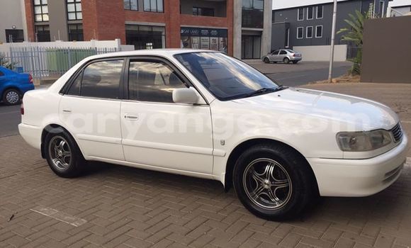 Buy Used Toyota Corolla White Car in Windhoek in Namibia Buy Used Toyota Corolla White Car in Windhoek in Namibia