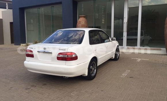 Buy Used Toyota Corolla White Car in Windhoek in Namibia Buy Used Toyota Corolla White Car in Windhoek in Namibia