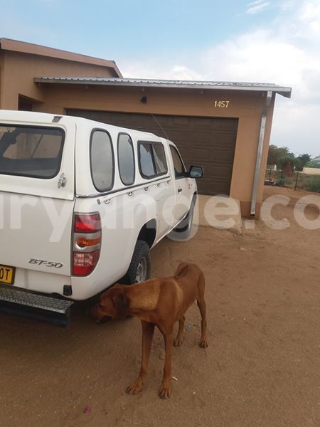 Big with watermark 14322753 152041765249206 4084601271133145777 n