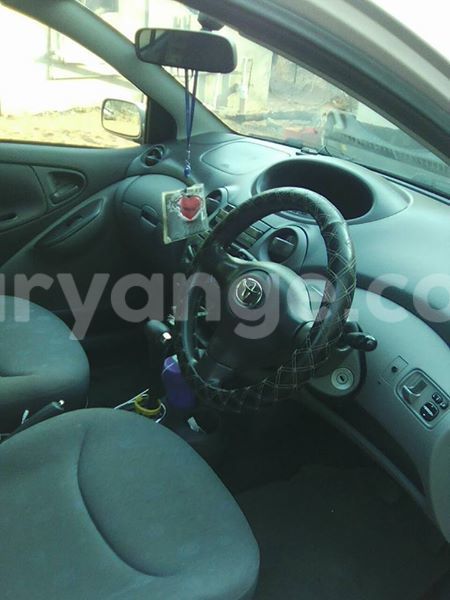 Big with watermark 14355616 1652943051684902 3641046762615807478 n