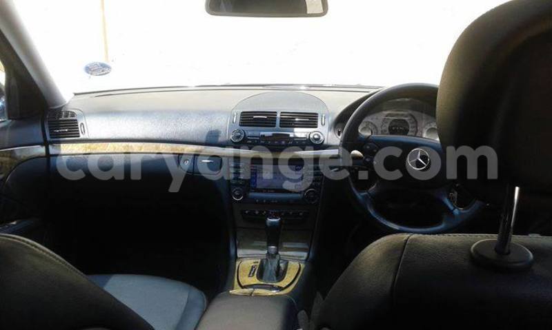 Big with watermark 14695326 1276538865723864 3907257530309395993 n