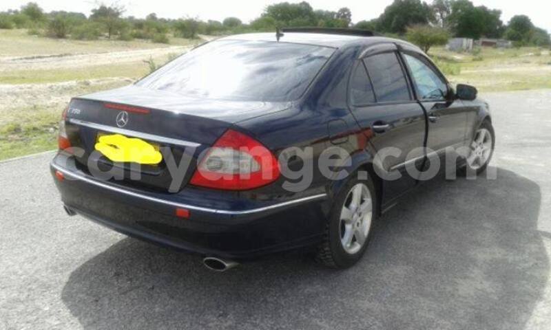 Big with watermark 14572839 1276538899057194 7605807282165903254 n