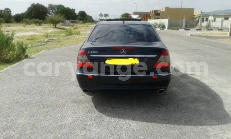 Big with watermark 14937420 10210899464142563 5142262507148257599 n