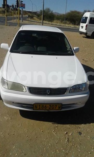 Big with watermark 14572839 1276538899057194 7605807282165903254 n