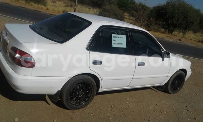 Big with watermark 14695326 1276538865723864 3907257530309395993 n