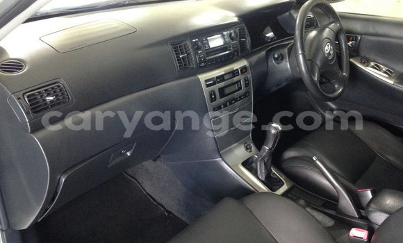 Buy Used Toyota Runx Silver Car in Windhoek in Namibia Buy Used Toyota Runx Silver Car in Windhoek in Namibia