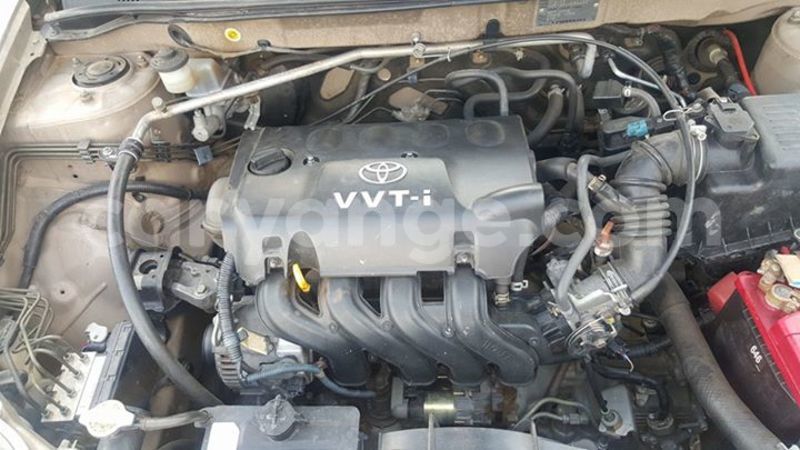 Big with watermark 14695326 1276538865723864 3907257530309395993 n