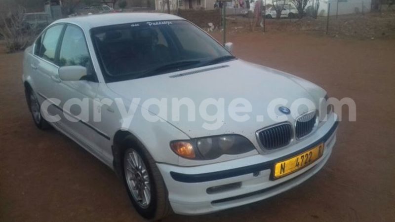 Big with watermark 14572839 1276538899057194 7605807282165903254 n