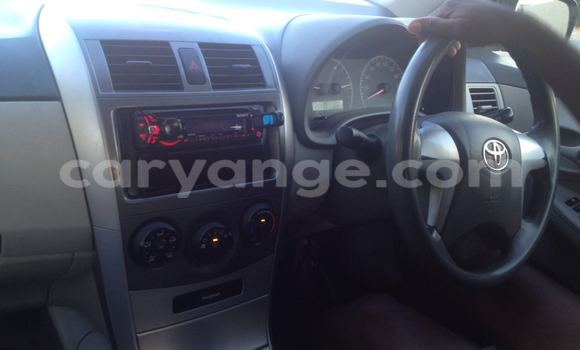 Buy Used Toyota Corolla White Car in Windhoek in Namibia Buy Used Toyota Corolla White Car in Windhoek in Namibia
