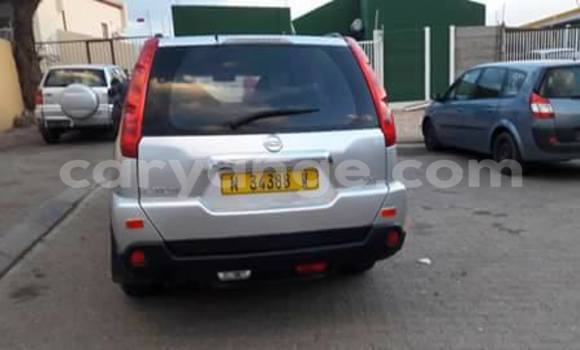 Buy Used Nissan X–Trail Silver Car in Windhoek in Namibia Buy Used Nissan X–Trail Silver Car in Windhoek in Namibia