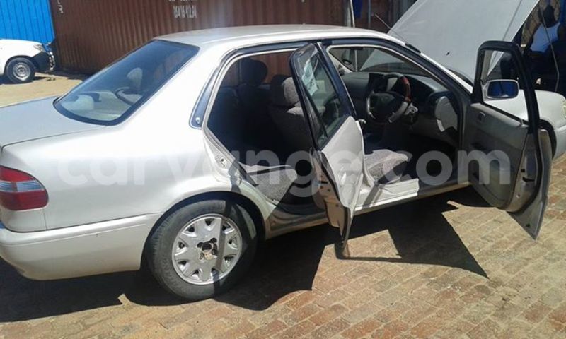 Big with watermark 14695326 1276538865723864 3907257530309395993 n