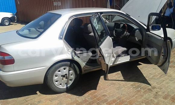 Buy Used Toyota Corolla Other Car in Windhoek in Namibia Buy Used Toyota Corolla Other Car in Windhoek in Namibia
