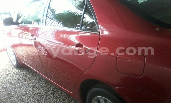 Acheter Occasion Voiture Toyota Corolla Rouge à Windhoek, Namibie Acheter Occasion Voiture Toyota Corolla Rouge à Windhoek, Namibie