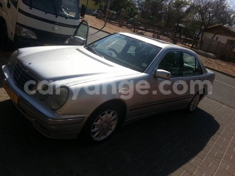 Big with watermark 14937420 10210899464142563 5142262507148257599 n