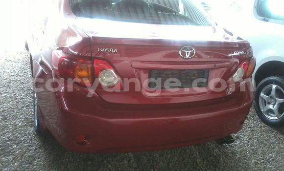Buy Used Toyota Corolla Red Car in Windhoek in Namibia