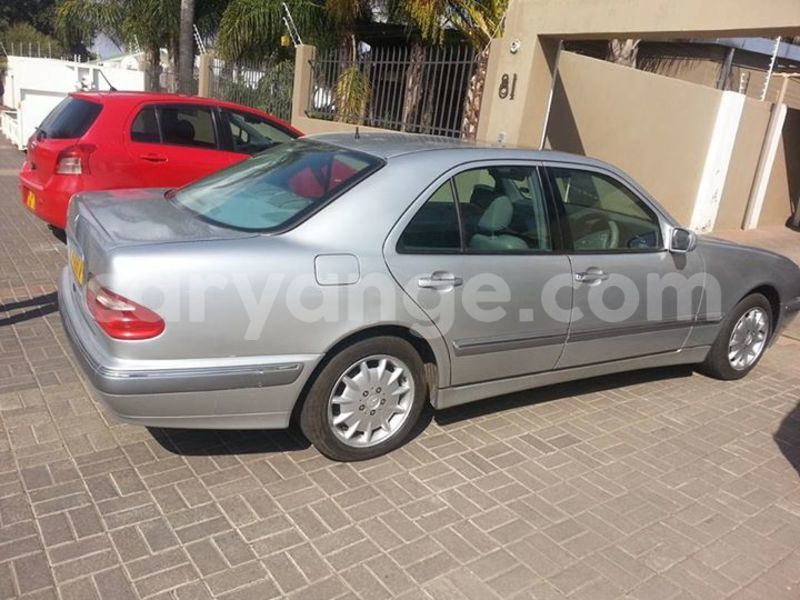 Big with watermark 14572839 1276538899057194 7605807282165903254 n