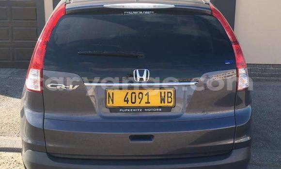 Buy Used Honda CR–V Black Car in Windhoek in Namibia