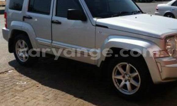 Acheter Occasion Voiture Jeep Compass Gris à Windhoek, Namibie