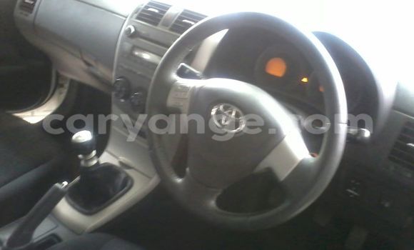 Acheter Occasion Voiture Toyota Corolla Rouge à Windhoek, Namibie Acheter Occasion Voiture Toyota Corolla Rouge à Windhoek, Namibie