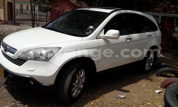 Buy Used Honda CR–V White Car in Windhoek in Namibia
