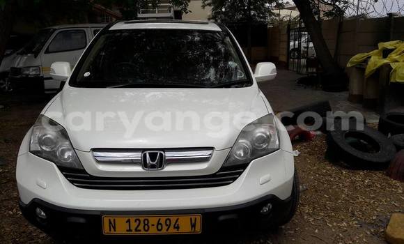 Buy Used Honda CR–V White Car in Windhoek in Namibia Buy Used Honda CR–V White Car in Windhoek in Namibia