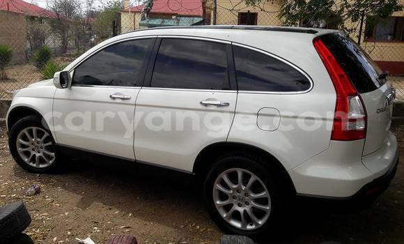 Buy Used Honda CR–V White Car in Windhoek in Namibia Buy Used Honda CR–V White Car in Windhoek in Namibia