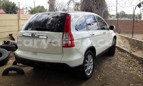 Buy Used Honda CR–V White Car in Windhoek in Namibia Buy Used Honda CR–V White Car in Windhoek in Namibia