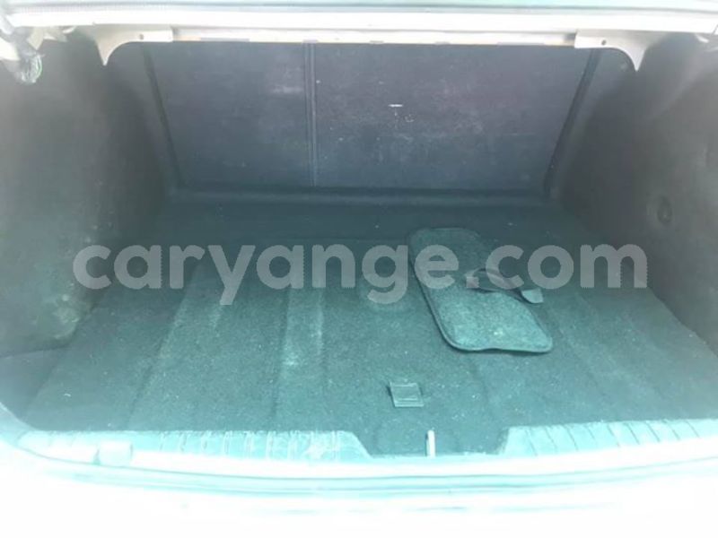 Big with watermark 50639542 10214035544142440 1761958973965074432 n