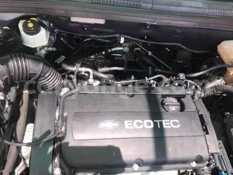 Big with watermark 50820917 10214035543742430 5116582350607613952 n