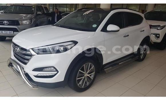 Buy Used Hyundai Tucson White Car in Gobabis in Omaheke Buy Used Hyundai Tucson White Car in Gobabis in Omaheke